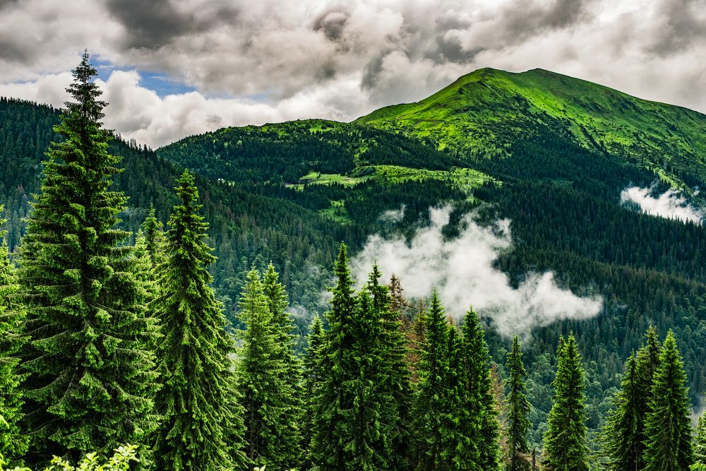 Дикие Карпаты: поход по Мармарошскому хребту