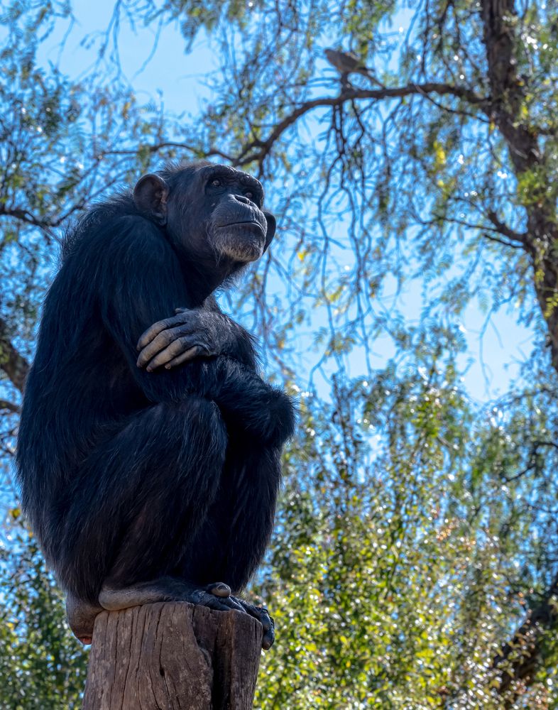 Photograph by Kristiina Stahlberg