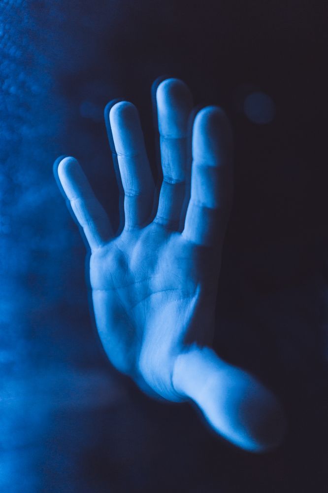 Photograph by Dawid Łozowicki