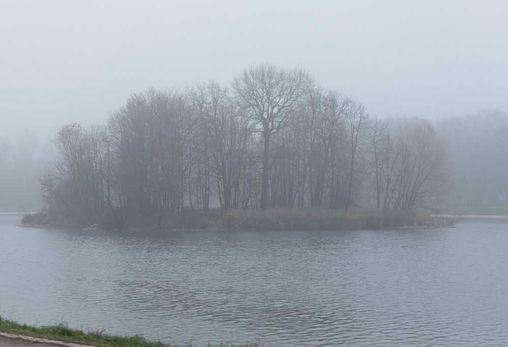 Photograph by Артём Тюменцев