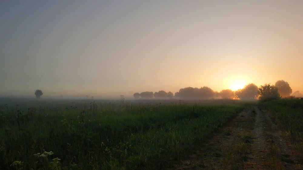 Photograph by Юлия Зуева