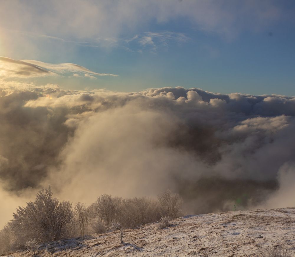 Photograph by Ирина Крепак