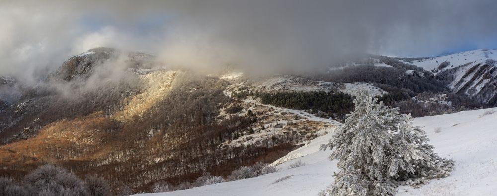 Photograph by Ирина Крепак