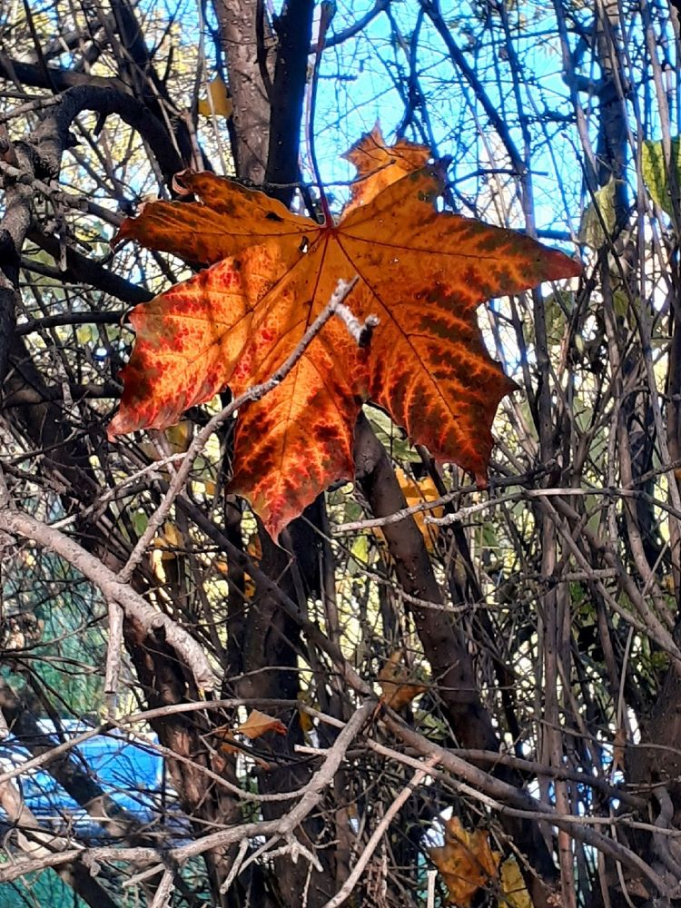 Photograph by Евгения Ульянова