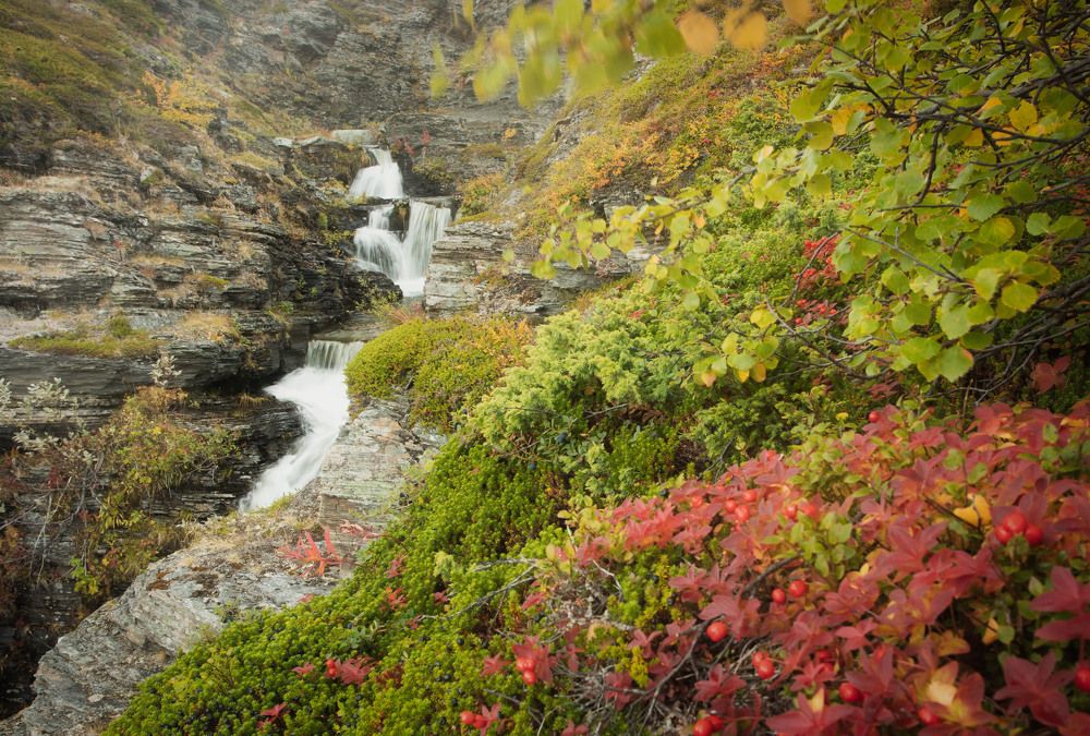 Photograph by Елена Станькова