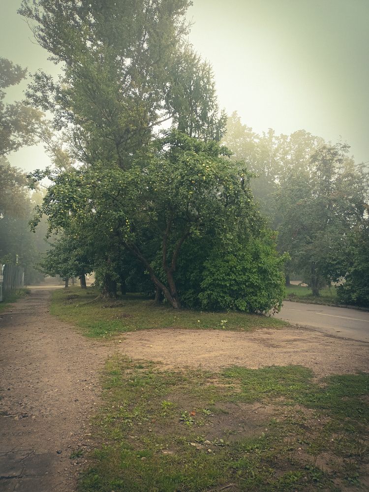 Photograph by Ирина Иванова