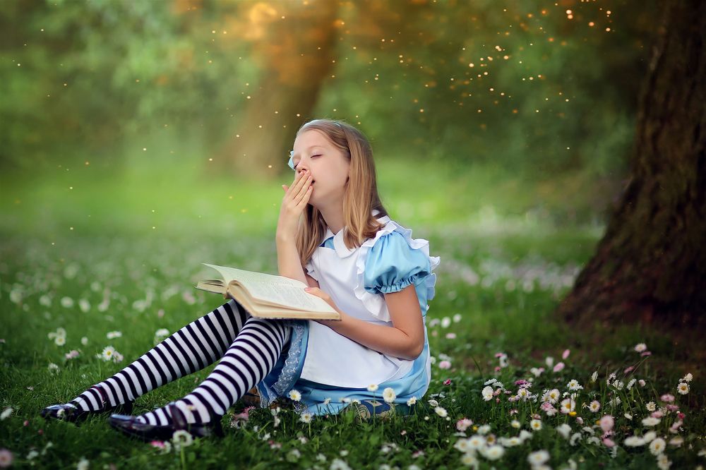 Страна Чудес