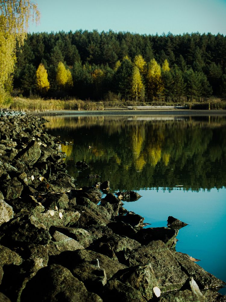 Photo #6823614