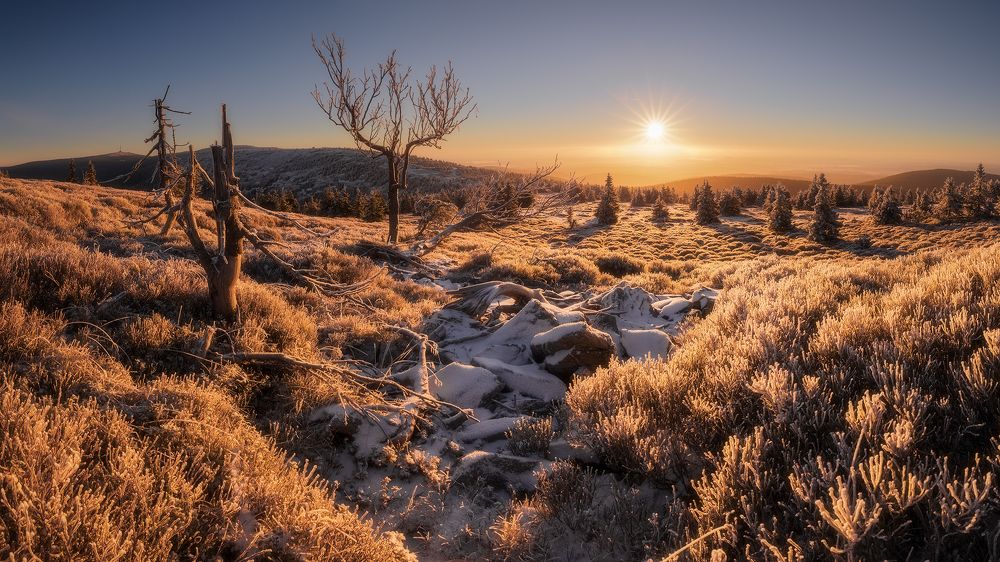 Photograph by Tom Kráčmar