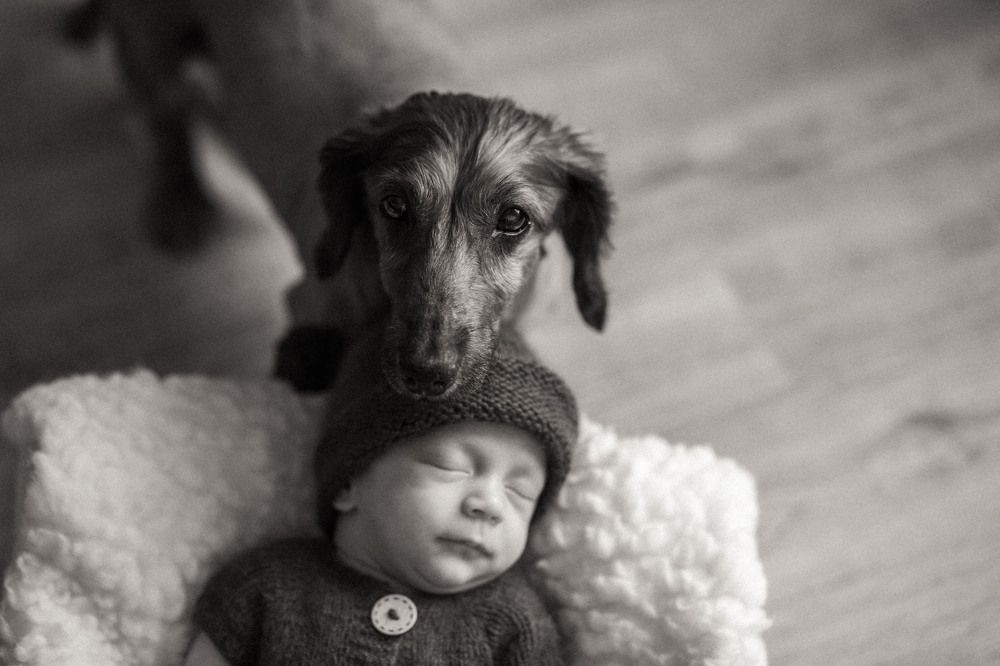 Преданный охранник