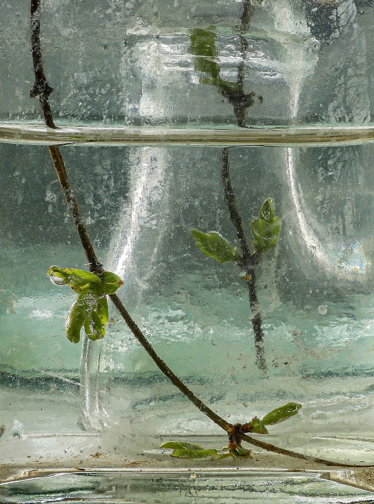 Photograph by Пожар Диана