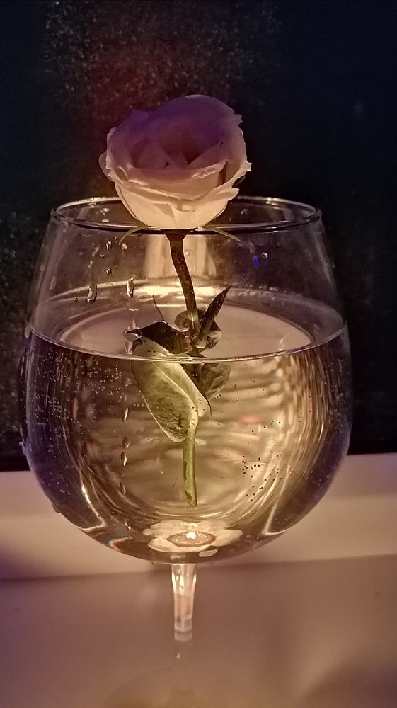 Photograph by Наталья Дябина