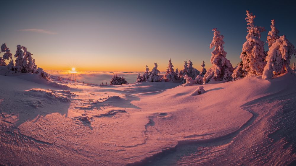 Photograph by Tom Kráčmar