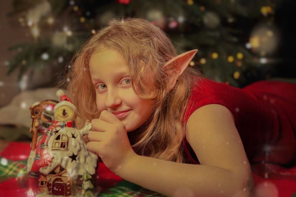 Мой любимый эльф.