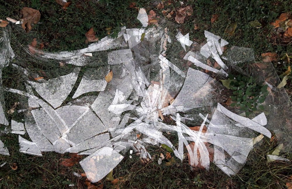 Фотография автора Алина Прищепа