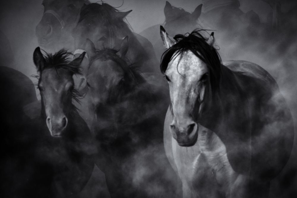 Фотография автора aylin turnator