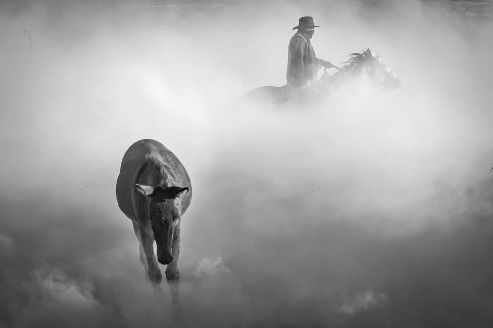 Фотография автора aylin turnator