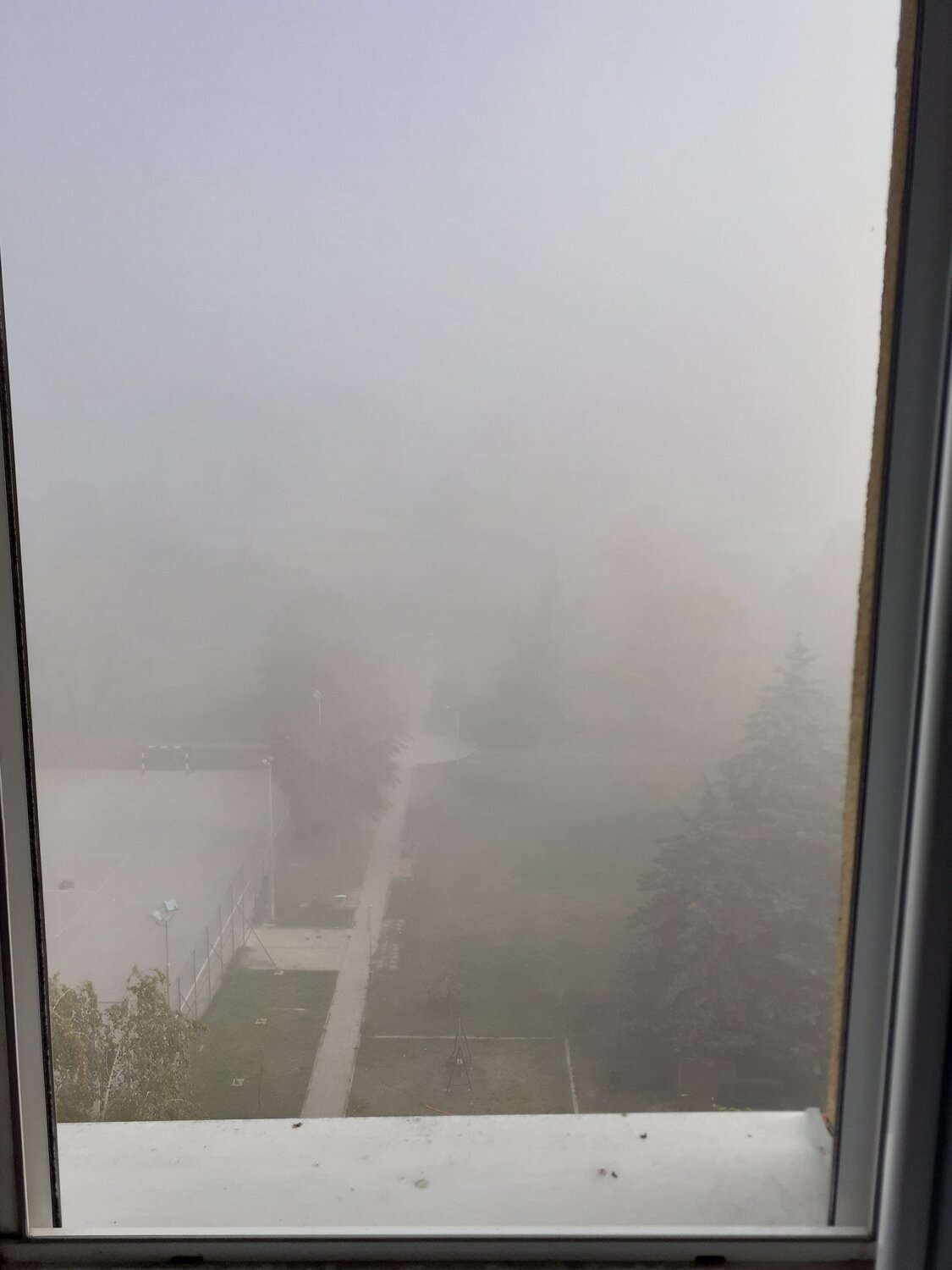 Photo #6823760