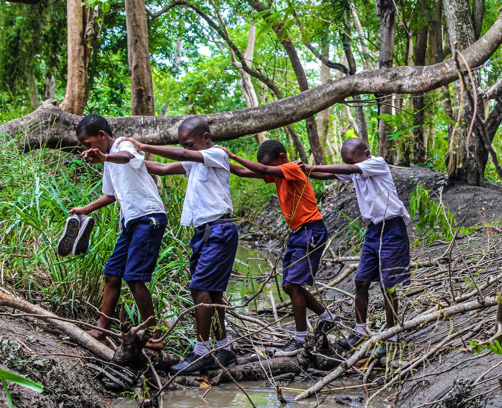 Photograph by Michael Albin