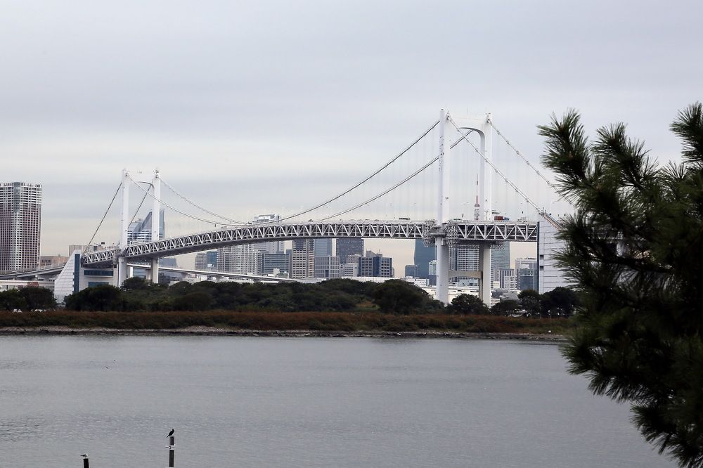 Photograph by Игорь Павель