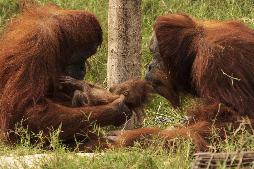 Photograph by klara Neikov