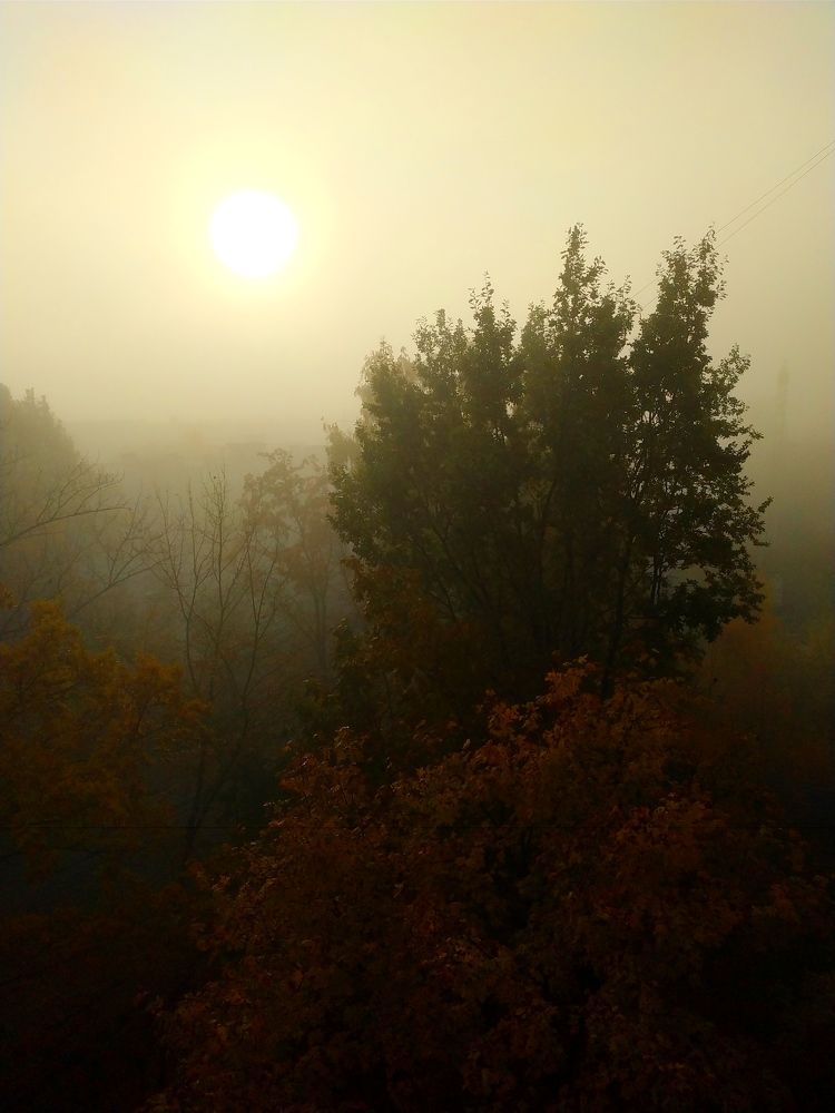 Photograph by Александр