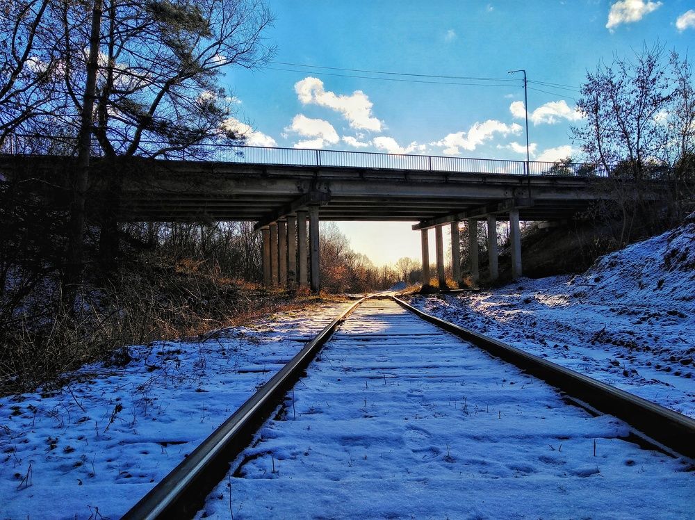 Photo #6824085