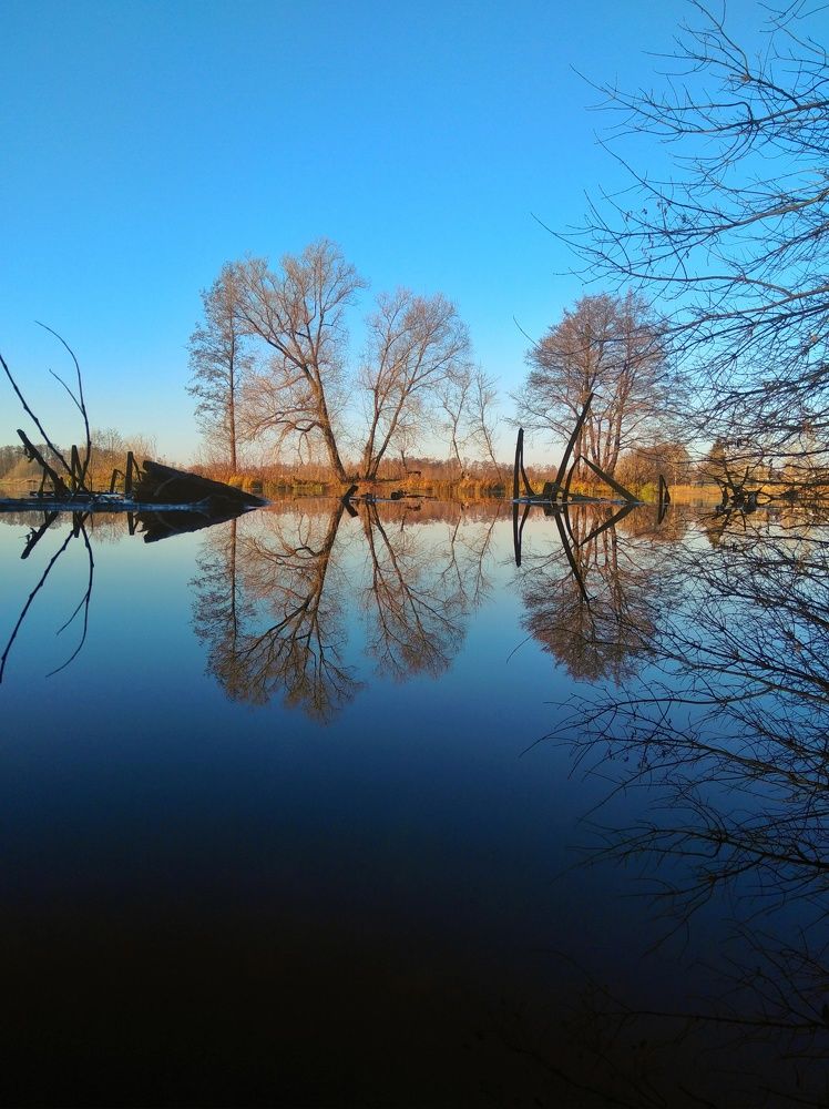 Photo #6824089