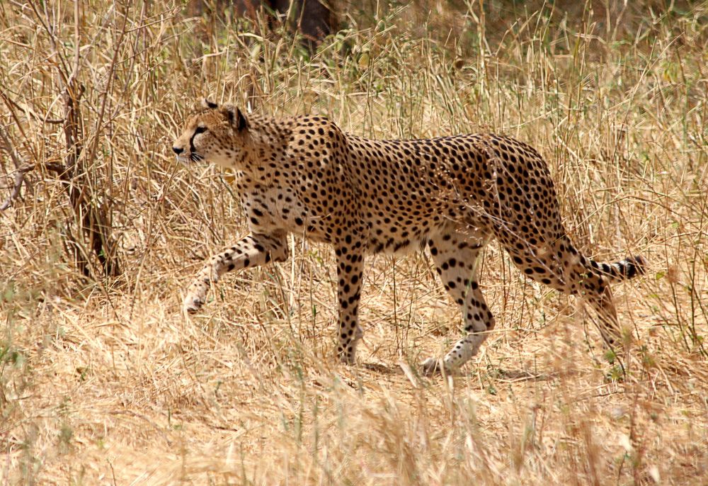 Photograph by Drora Baharal