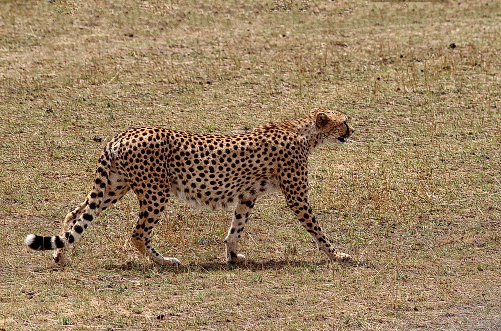 Photograph by Drora Baharal