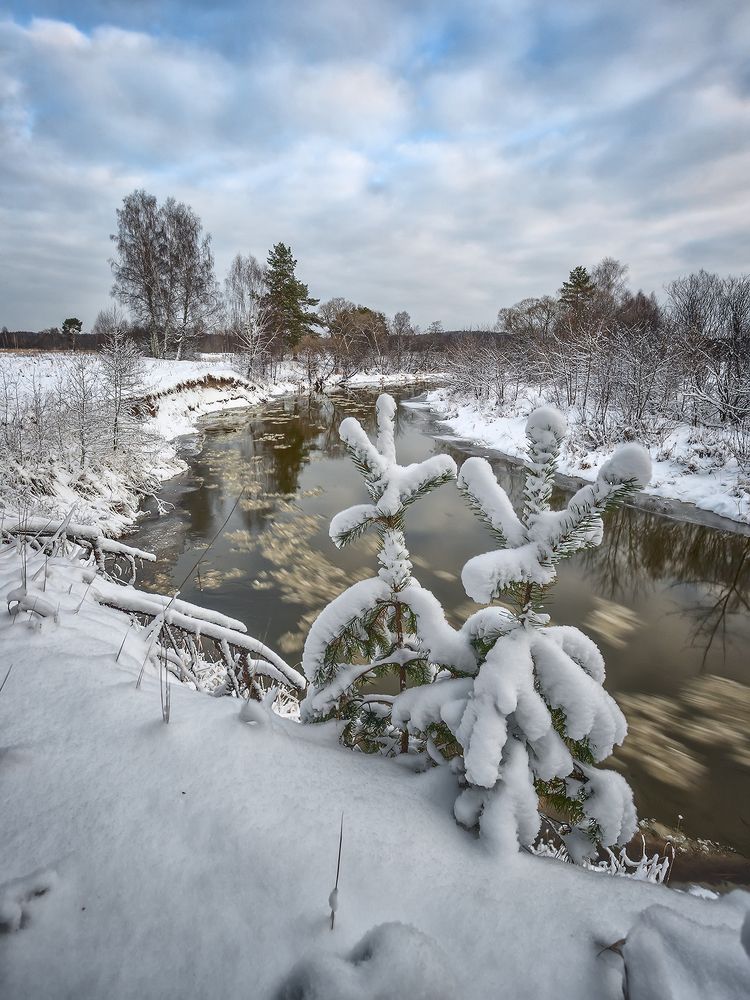 Photograph by Андреев Николай