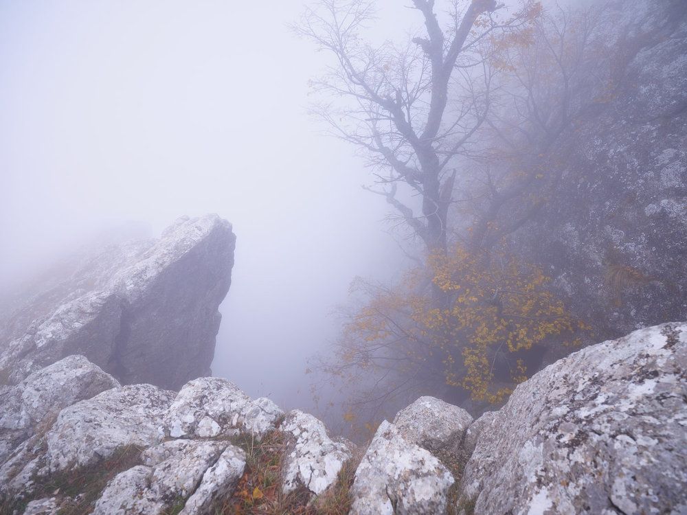 Photograph by Ирина