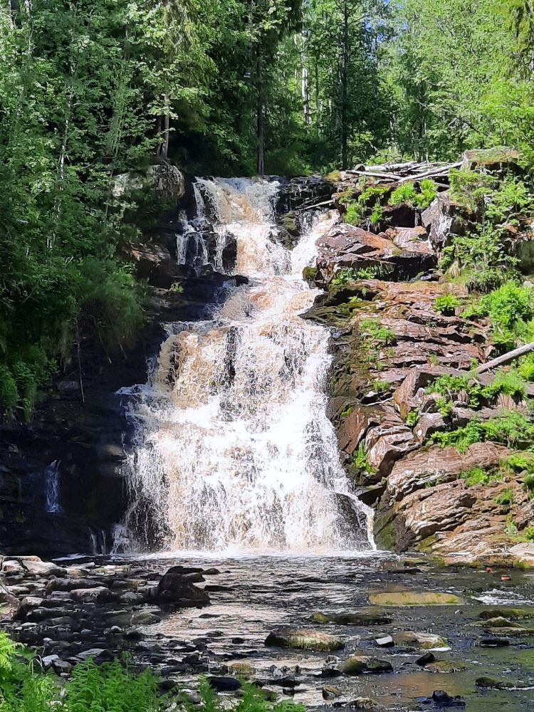 Photograph by Игорь