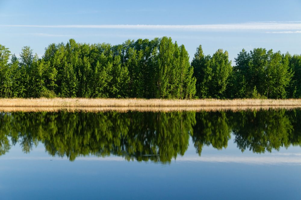 Photograph by Алексей