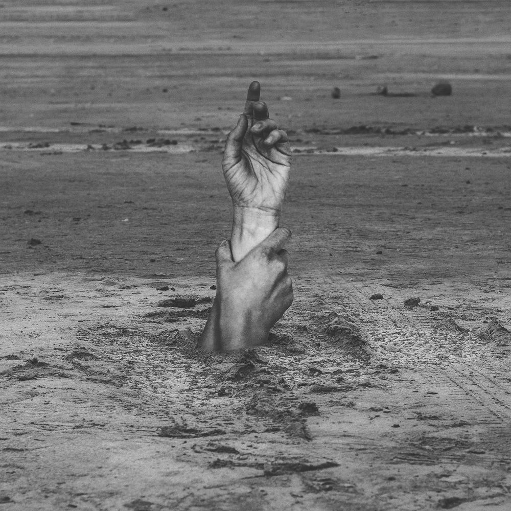 Photograph by barbad