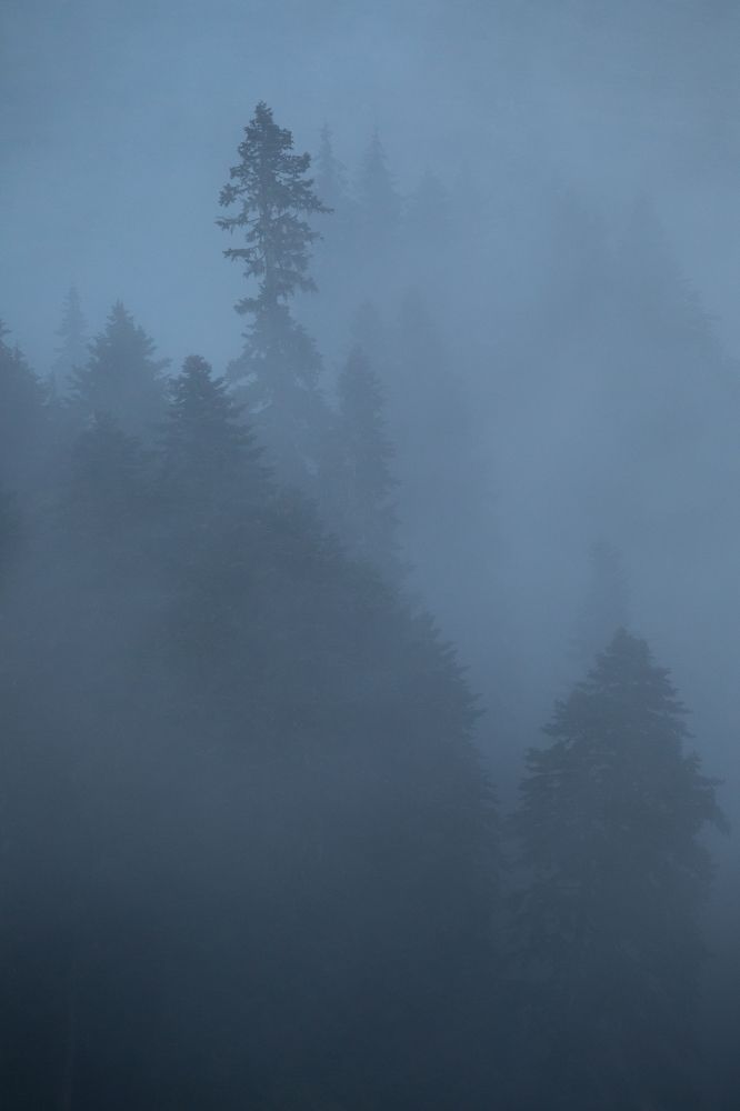 Туман на склоне хребта Аибга