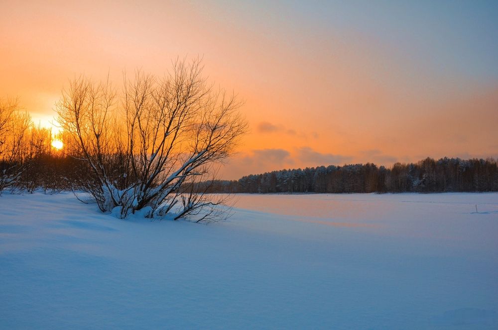 Photograph by Артём Шестаков