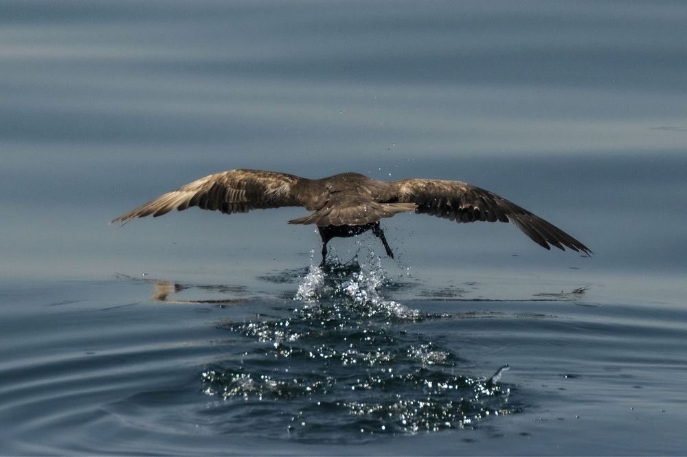 Внимание, взлет!