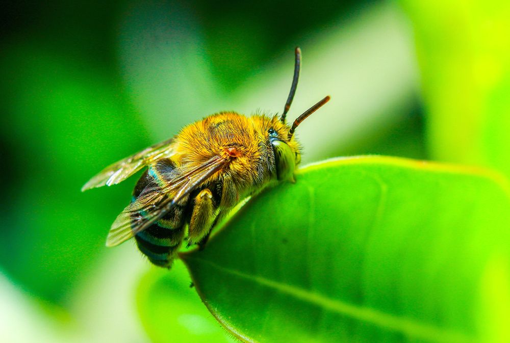 Photograph by Yusuf Buchari