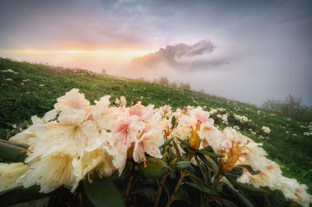 Photograph by Василий Яковлев