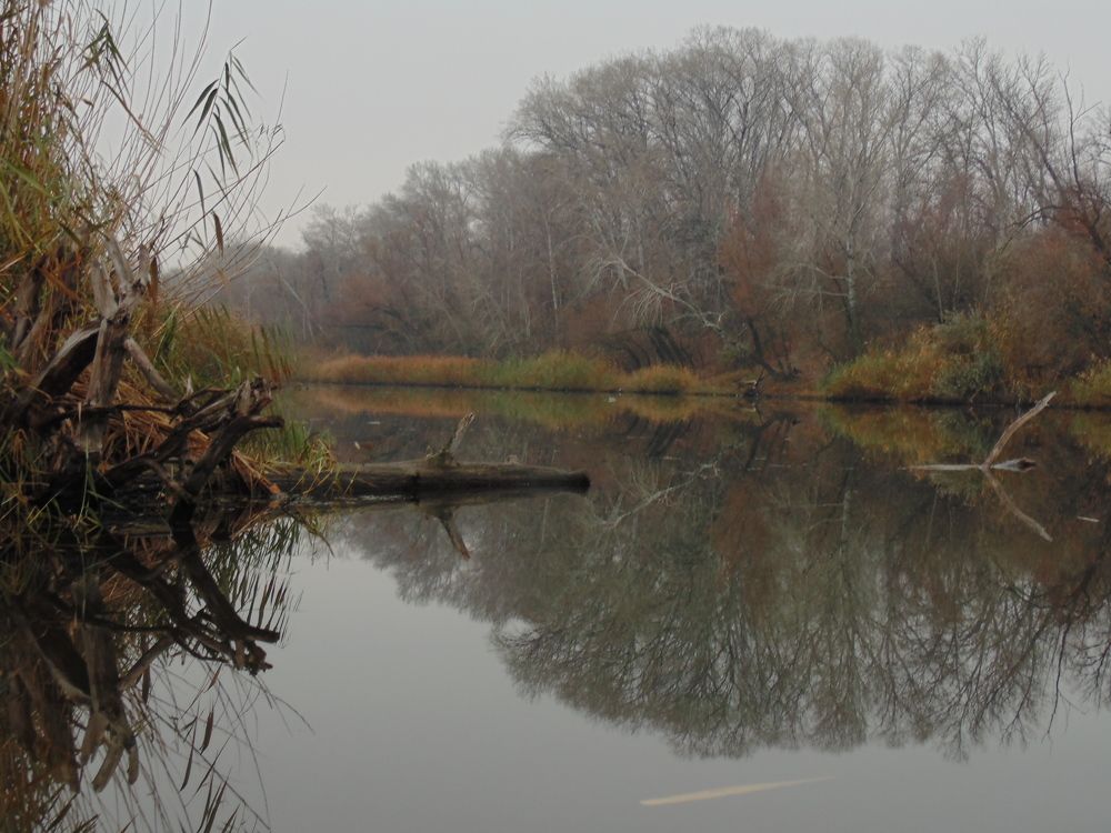 Photo #6824295