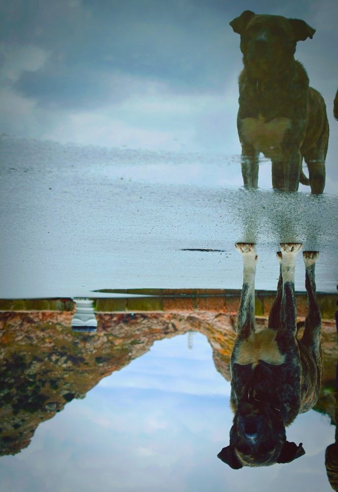 Photograph by Екатерина Гордеева