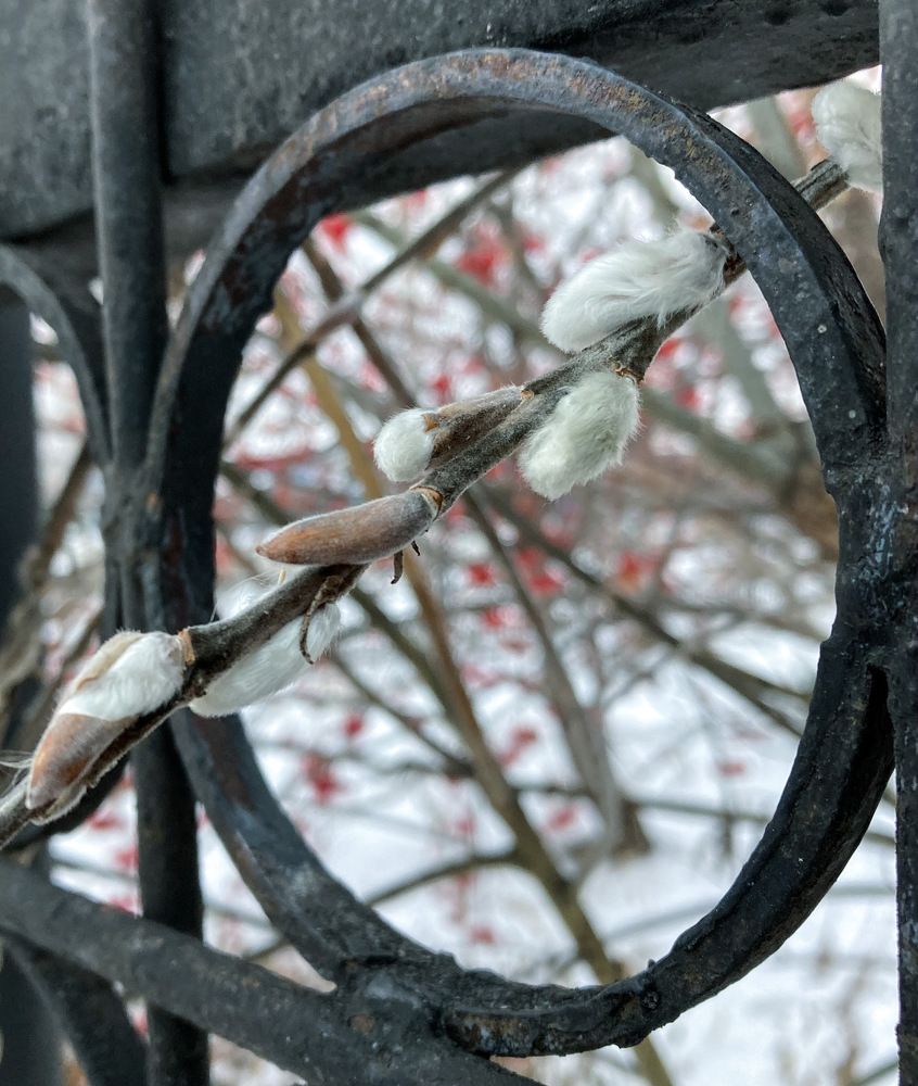 Photograph by София Оторочкина