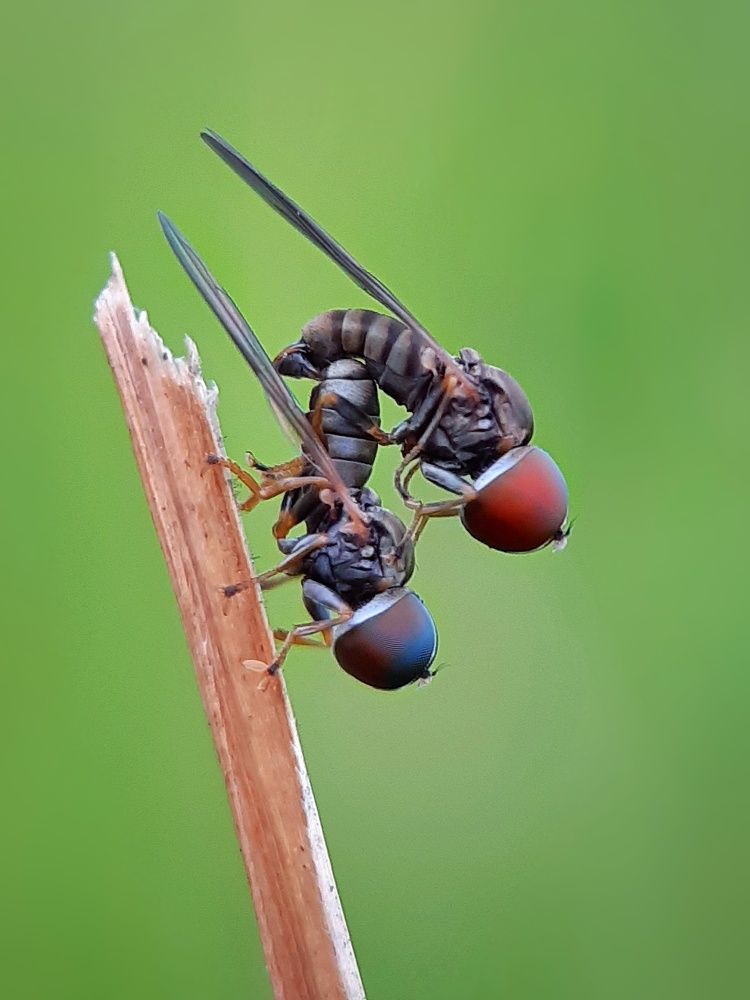 Photograph by TAPAS GHOSH