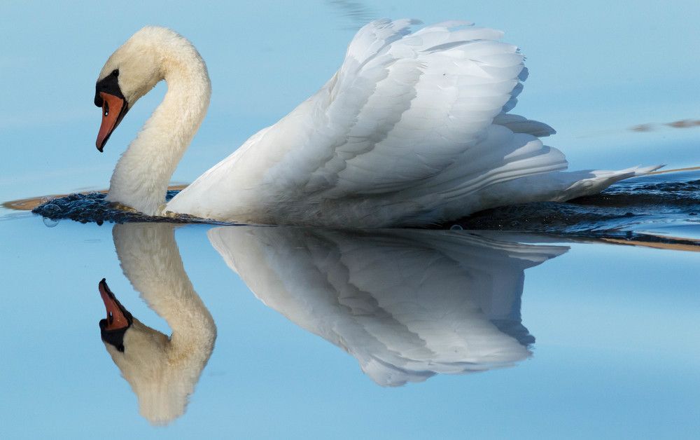 Photograph by Wendy Vanhoudt