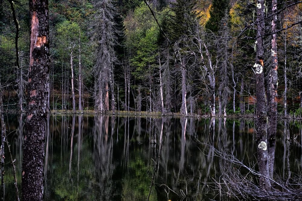 Photograph by Muzaffer Sütlüoğlu