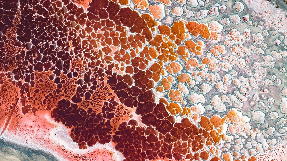 Фотография автора Андрей Кельс