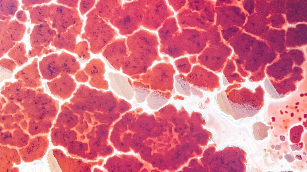 Фотография автора Андрей Кельс