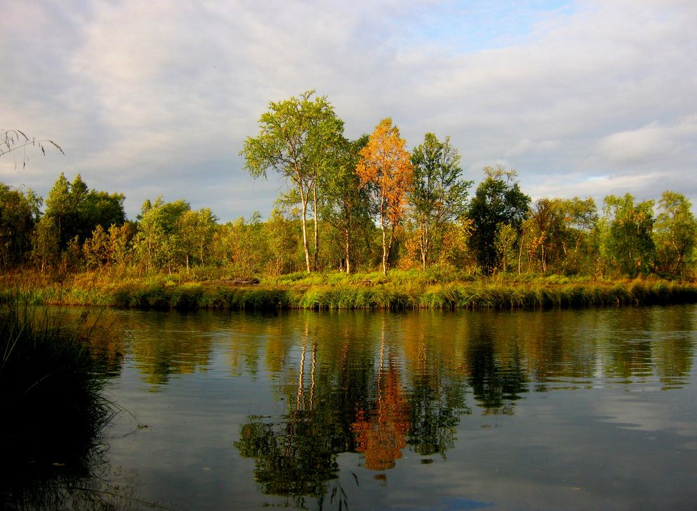 Photograph by Ирина Чечкина