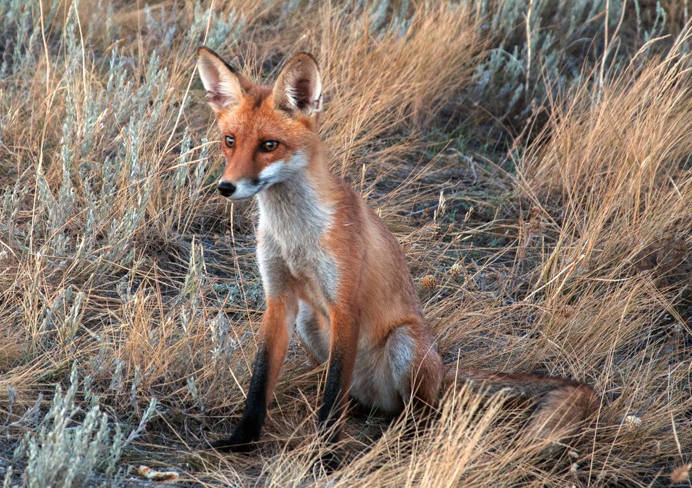 Photograph by Николай Багно